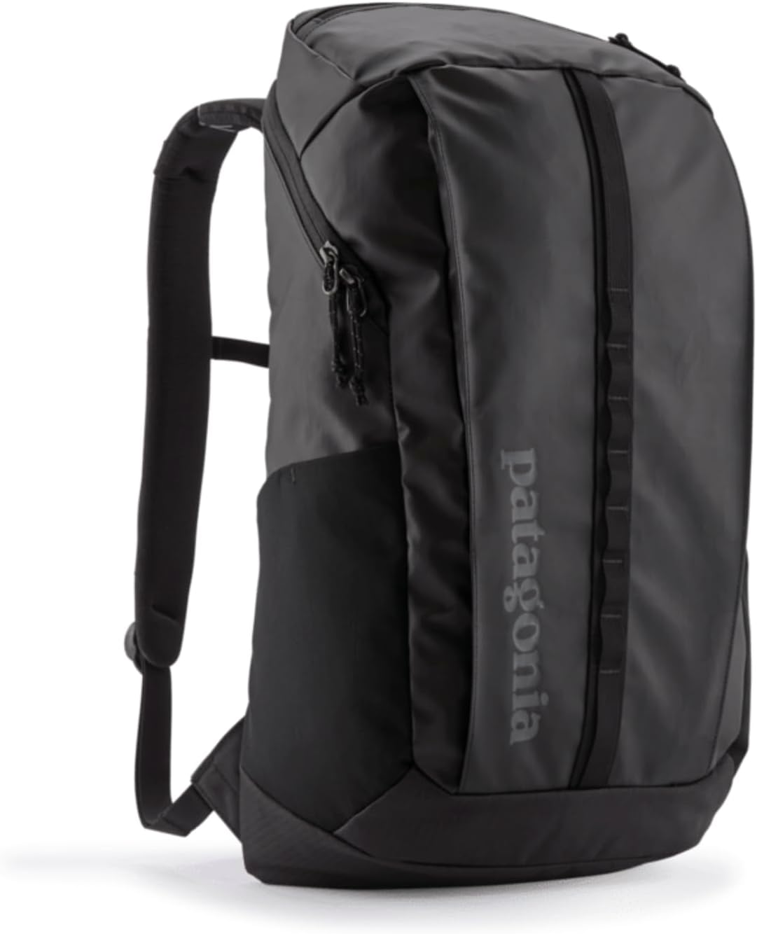 Patagonia Black Hole Pack 25L